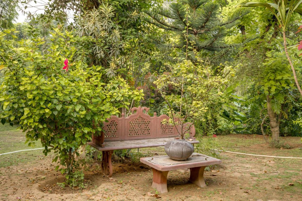 Hostie Chinar Haveli - Heritage Home With Pool, 구르가온 외부 사진