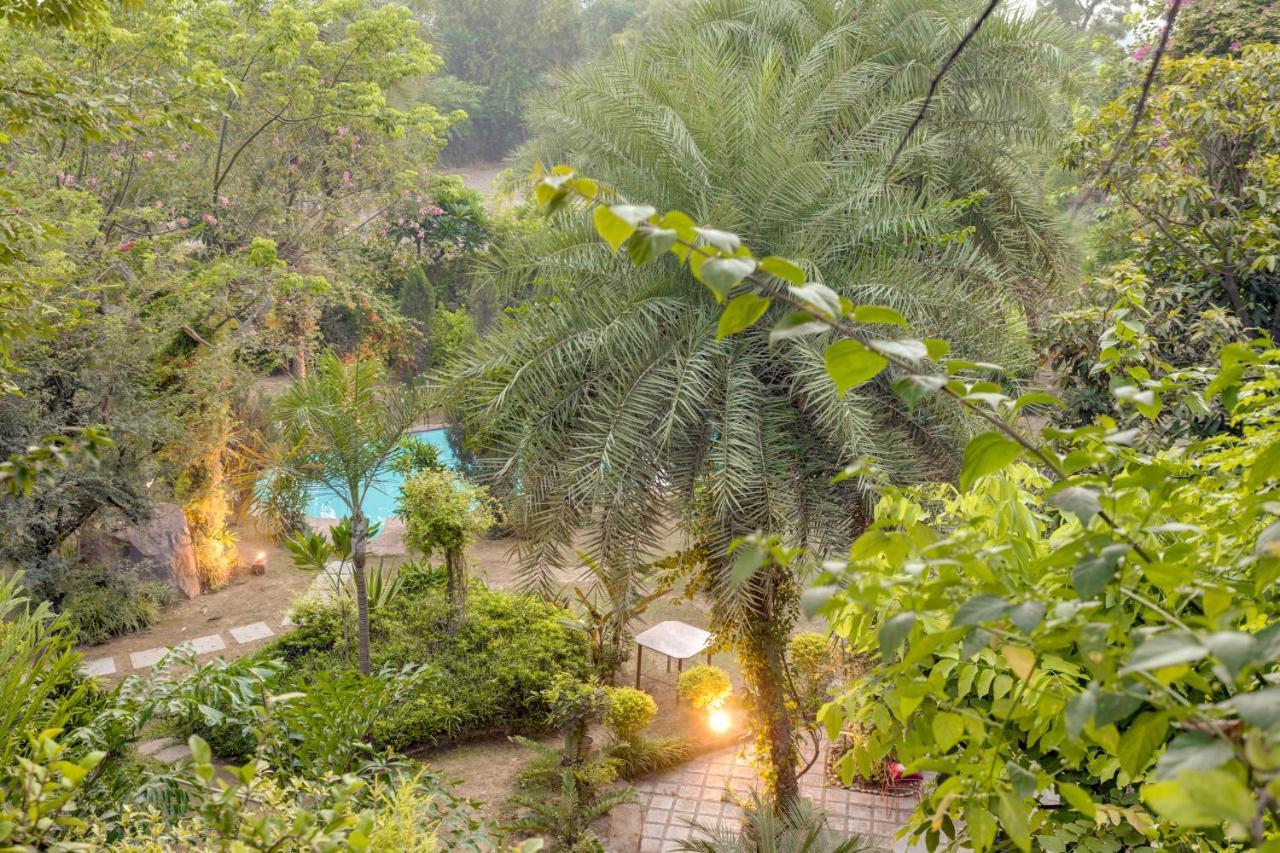 Hostie Chinar Haveli - Heritage Home With Pool, 구르가온 외부 사진