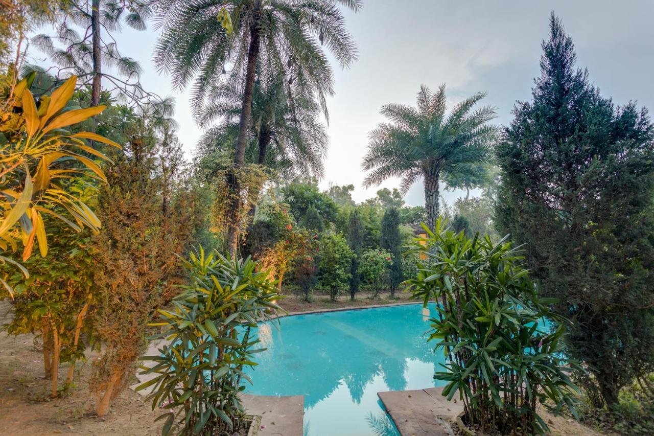 Hostie Chinar Haveli - Heritage Home With Pool, 구르가온 외부 사진
