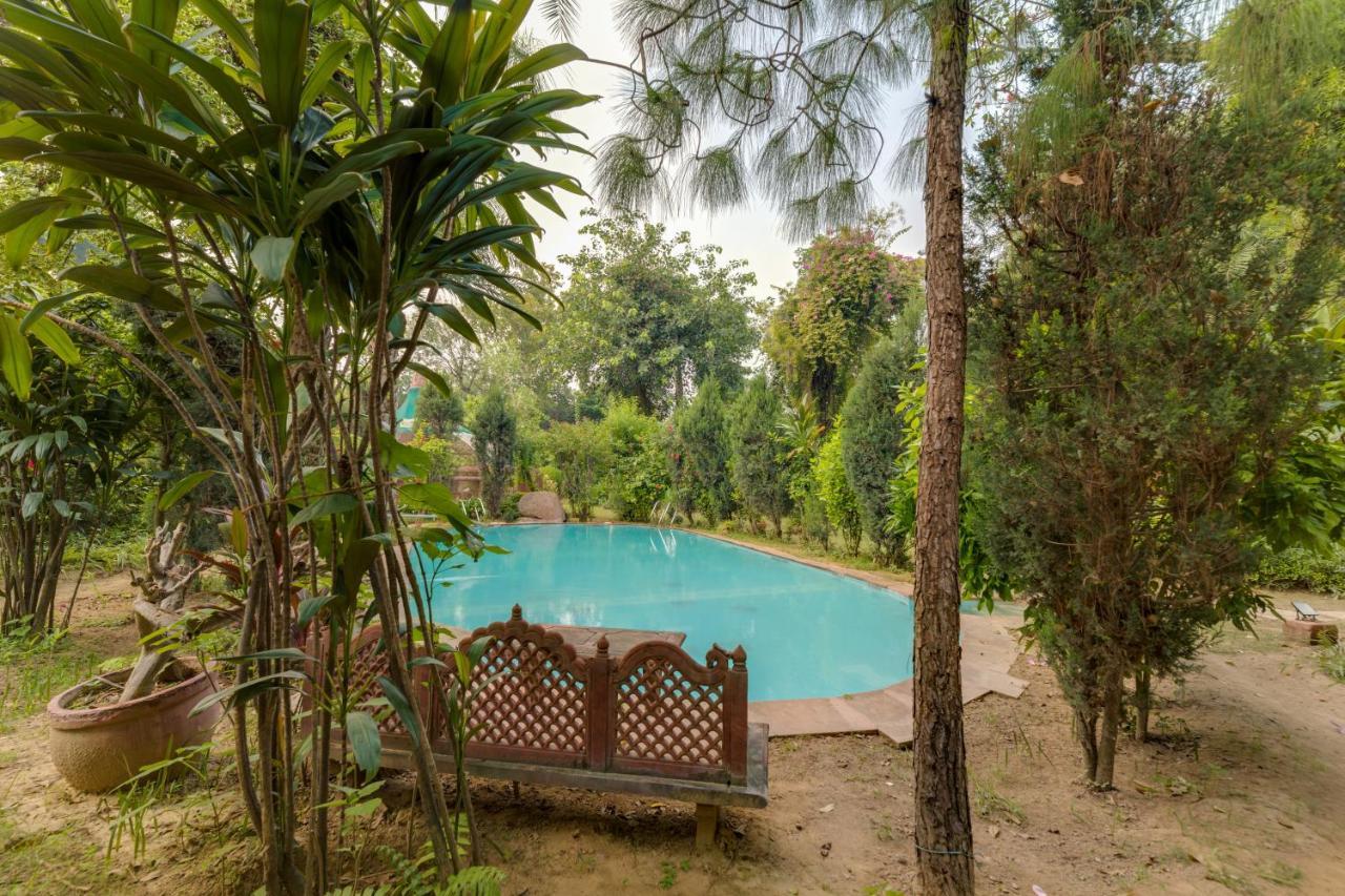Hostie Chinar Haveli - Heritage Home With Pool, 구르가온 외부 사진